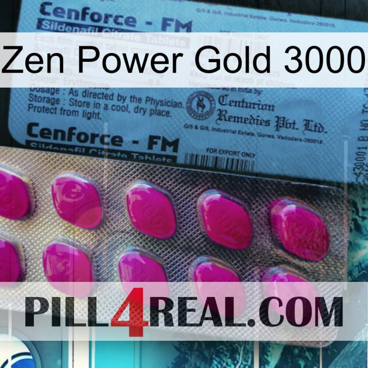 Zen Power Gold 3000 35